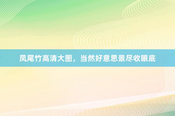 凤尾竹高清大图，当然好意思景尽收眼底