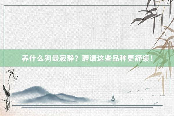 养什么狗最寂静？聘请这些品种更舒缓！