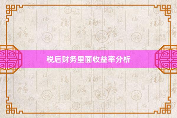 税后财务里面收益率分析
